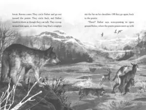 a wolf called wander aksiyon macera greenwillow books rosanne parry 716 22 B