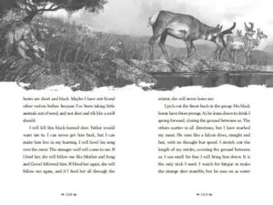 a wolf called wander aksiyon macera greenwillow books rosanne parry 717 22 B