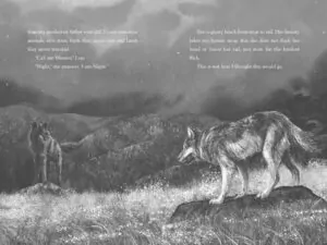 a wolf called wander aksiyon macera greenwillow books rosanne parry 718 22 B