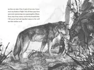 a wolf called wander aksiyon macera greenwillow books rosanne parry 719 22 B